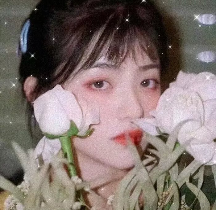 她和他